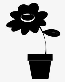 Potted Plant - Flower, HD Png Download, Transparent PNG
