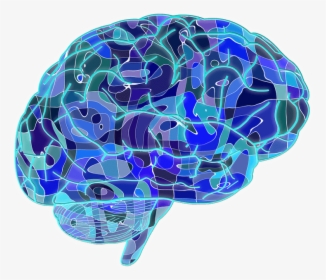 Psychology Brain Transparent, HD Png Download, Transparent PNG