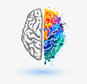 Left And Right Brain Logo , Png Download - Left Brain Right Brain Clipart, Transparent Png, Transparent PNG