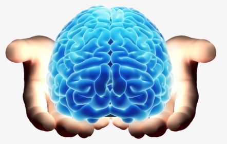 Brain In Hand, HD Png Download, Transparent PNG