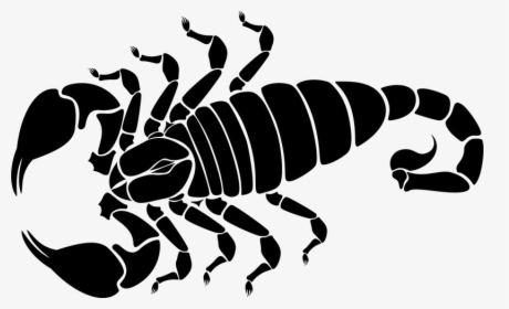 Scorpio Transparent Image - Scorpion Clip Art, HD Png Download, Transparent PNG