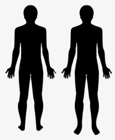Body - Standing, HD Png Download, Transparent PNG