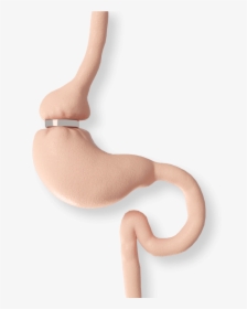 Stomach With A Lap Band - Chair, HD Png Download, Transparent PNG