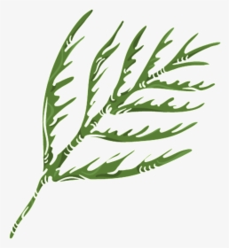 Green Coral Grass Png Transparent - Illustration, Png Download, Transparent PNG