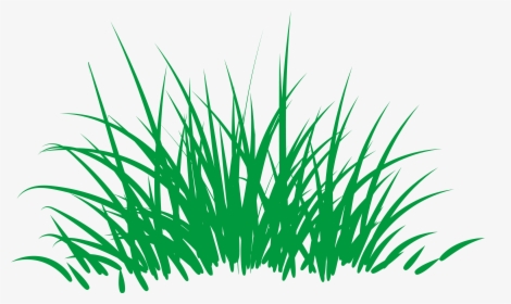 Green Grass - Grass, HD Png Download, Transparent PNG