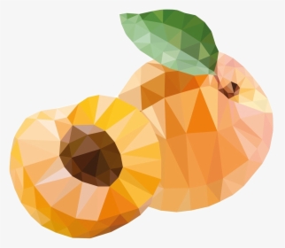 Apricot Stone, HD Png Download, Transparent PNG