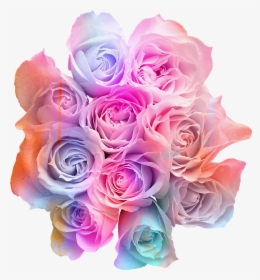 Rose Beautiful Flowers Png, Transparent Png, Transparent PNG