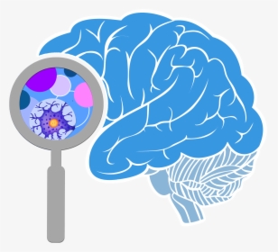Brain Initiative Investigators Meeting Logo - Png Transparent Brain Png, Png Download, Transparent PNG