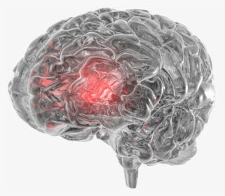 Brain2 - Effects Of Ice On The Brain, HD Png Download, Transparent PNG