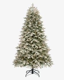 Traditional Christmas Tree With Snow Png Image - Frosted Christmas Tree Png, Transparent Png, Transparent PNG