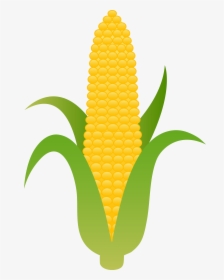 Corn Cob Clipart Graphic Library 92 Corn On The Cob - Corn On The Cob Clipart, HD Png Download, Transparent PNG