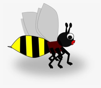 Honey Bee Insect Wasp Cartoon - Honey Bee, HD Png Download, Transparent PNG