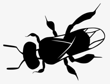 Clipart Bee Path - Australian Native Bee Art, HD Png Download, Transparent PNG