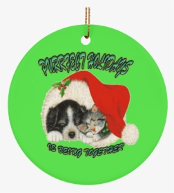 Transparent Christmas Cat Png - Christmas Dogs And Cats, Png Download, Transparent PNG