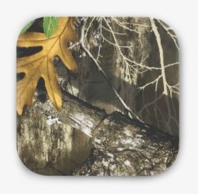 9220 Realtree Qi Charger Top View, HD Png Download, Transparent PNG