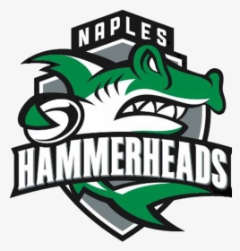 Naples Logo - Naples Hammerheads Rugby, HD Png Download, Transparent PNG