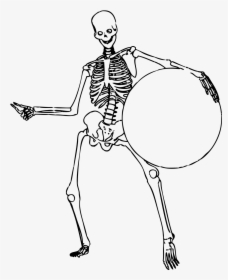 Medical Body Outline At - Skeleton Transparent, HD Png Download, Transparent PNG
