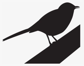 Thrushes - Kill A Mockingbird Clipart, HD Png Download, Transparent PNG