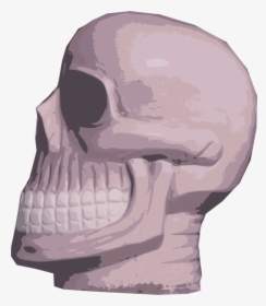 Scary Skull - Skull, HD Png Download, Transparent PNG