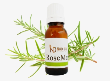 Harrybaba Rosemary Oil 15 Ml , Png Download - Rosemary Free, Transparent Png, Transparent PNG