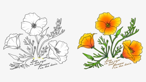 Transparent Poppy Clipart - California State Flower Drawing, HD Png Download, Transparent PNG