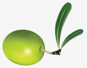 Free Download Of Olives In Png - Transparent Transparent Background Olive Leaf Clipart, Png Download, Transparent PNG