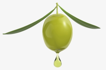 Organic Olive Squalene Oil & Serum - Goccia Olio Png, Transparent Png, Transparent PNG