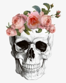 #anatomy #skull #skullsticker #flowers #tumblr, HD Png Download, Transparent PNG