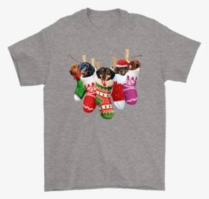 Dachshunds In Christmas Stockings Happy Holiday Shirts - T-shirt, HD Png Download, Transparent PNG