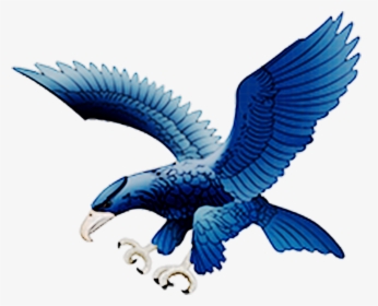 Ateneo Blue Eagles Logo Png, Transparent Png, Transparent PNG