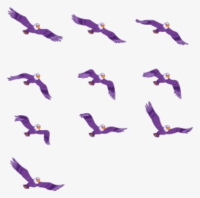 Eagle, HD Png Download, Transparent PNG