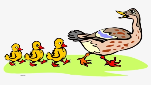 Baby Duck Clip Art And Babies Png, Transparent Png, Transparent PNG