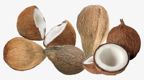 Coconut - Coconut Copra Png, Transparent Png, Transparent PNG