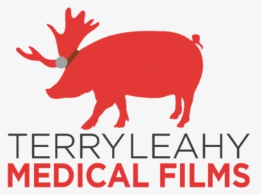 Terryleahy-medical - Reindeer, HD Png Download, Transparent PNG