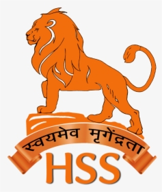 Hindu Swayamsevak Sangh Usa Hindu Swayamsevak Sangh - Hindu Swayamsevak Sangh Logo, HD Png Download, Transparent PNG