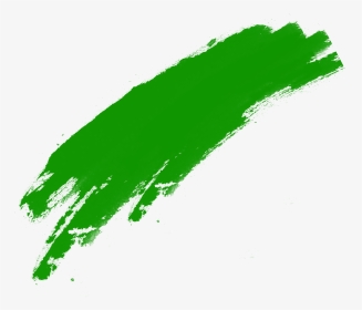 Green Brush Png, Transparent Png, Transparent PNG