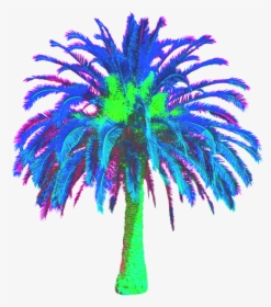 Transparent Vaporwave Palm Tree Png - Date Palm Tree Png, Png Download, Transparent PNG