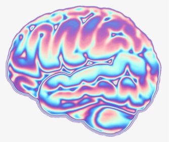 Brain Transparent Vaporwave - Illustration, HD Png Download, Transparent PNG