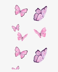#ftestickers #butterflies #pink #nature #png #cute - Papel De Parede Com Borboletas Png, Transparent Png, Transparent PNG