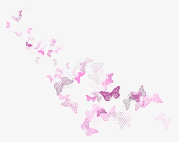 Butterflies Decoration Png Clipart Picture - Pink And White Butterfly Png, Transparent Png, Transparent PNG
