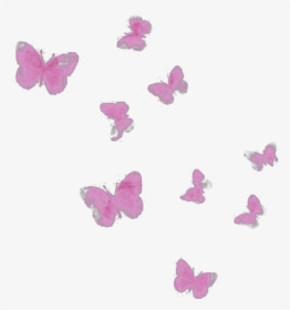 #ftestickers #watercolor #butterflies #pink - Pieridae, HD Png Download, Transparent PNG