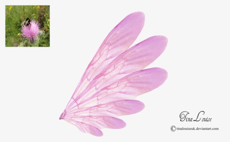 Pink Transparent Fairy Wings By Tinalouiseuk - Fairy Wings With Transparent Background, HD Png Download, Transparent PNG