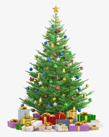 Christmas Tree Render, HD Png Download, Transparent PNG