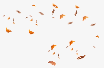 Falling Leaves Png - Transparent Fall Leaves Overlay, Png Download, Transparent PNG