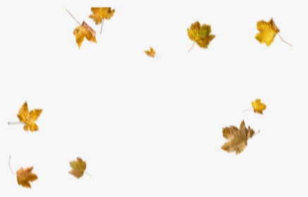 #autumn #fall #leaves #leaf - Leaf Overlay Png, Transparent Png, Transparent PNG
