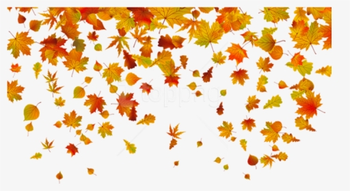 Fall Leaf Clipart Transparent Background - Fall Leaves Png Transparent, Png Download, Transparent PNG