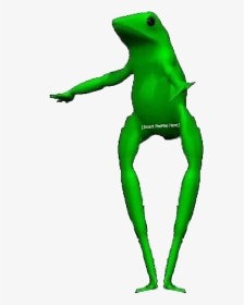Boi Transparent Frog - Frog Riding A Unicycle Gif, HD Png Download, Transparent PNG
