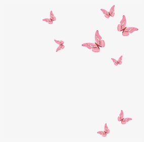 #pink Butterfly - Pink Butterfly Png, Transparent Png, Transparent PNG