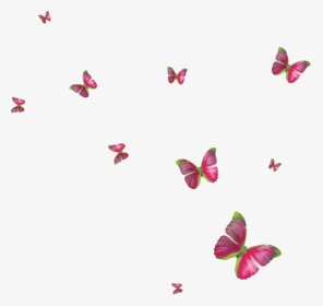 Clipart Butterflies Butterfly Clip Art, Butterflies, - Blue Butterfly Frame Free, HD Png Download, Transparent PNG