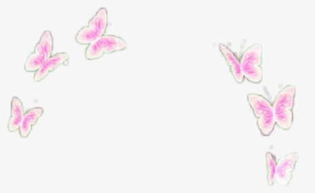 #pink #butterflies #butterfly #overly #filter #crownn - Butterfly Filter Transparent, HD Png Download, Transparent PNG